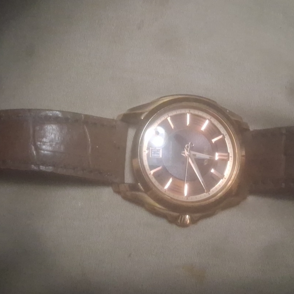 Bulova Gold and Brown Men's Watch